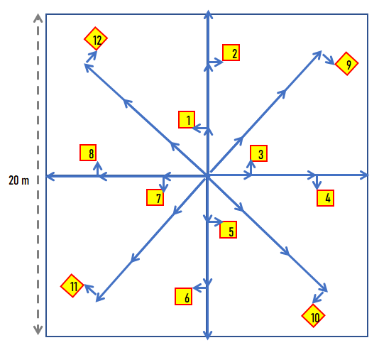 Figure 1. A square compound plot optimized for prairie, consisting of a 20 by 20 m relevé (400 m² == 0.1 acre), 8, 10 m line-point intercept transects (0.5 m intervals == 160 points) for foliar cover, and 12, 50 by 50 cm biomass quadrats.