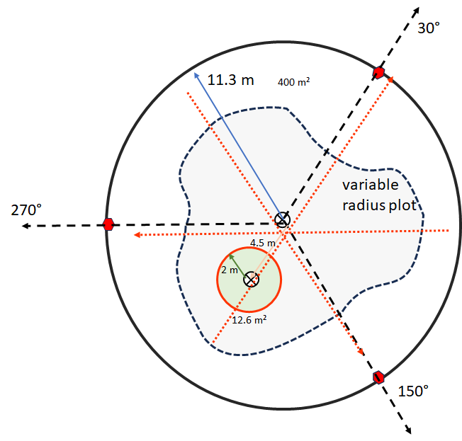 Figure 2. A circular compound plot optimized for forest, consisting of a 11.3 m radius relevé (400 m² == 0.1 acre), 3, 20 line-point intercept transects (0.5 m intervals == 120 points) for ground surface cover , and 2 m radius seedling/sapling density subplot.