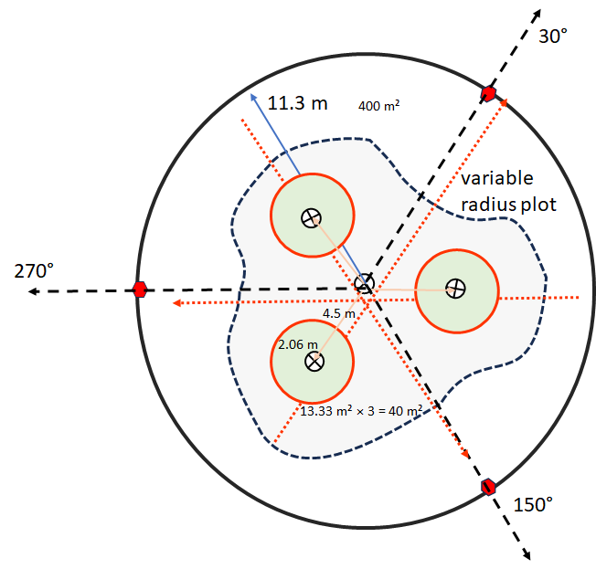 Figure 3. A circular compound plot optimized for forest, consisting of a 11.3 m radius relevé (400 m² == 0.1 acre), 3, 20 line-point intercept transects (0.5 m intervals == 120 points) for ground surface cover , and 3, 2.06 m radius seedling/sapling density subplots for a 40 m² == 0.01 acre total area.