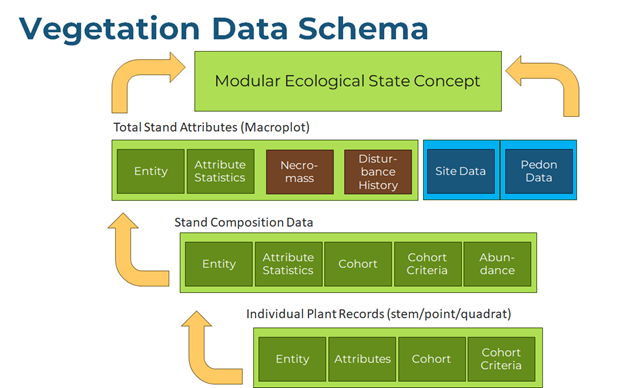 Figure 2. Potential data Schema for vegetation data )