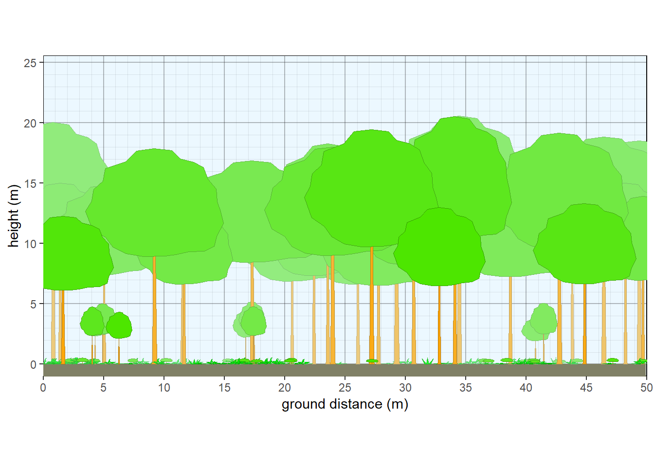 Structure of northern Michigan hardwood forest.