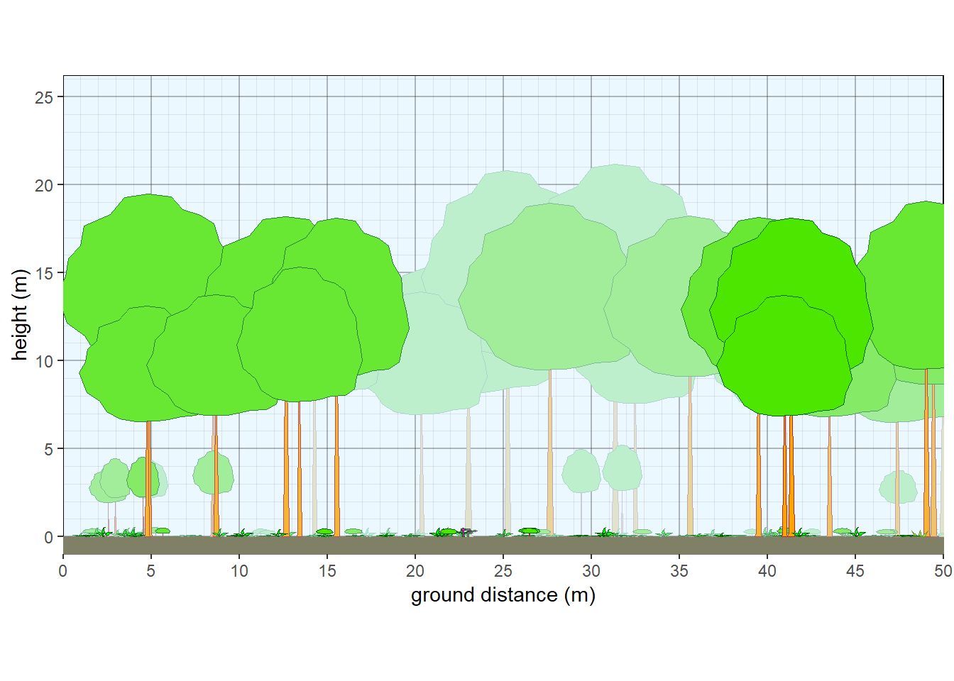 Structure of northern Michigan hardwood forest.