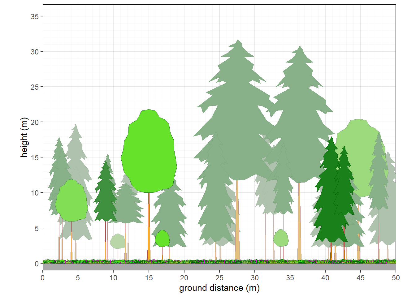 Structure of northern Michigan mixed forest.