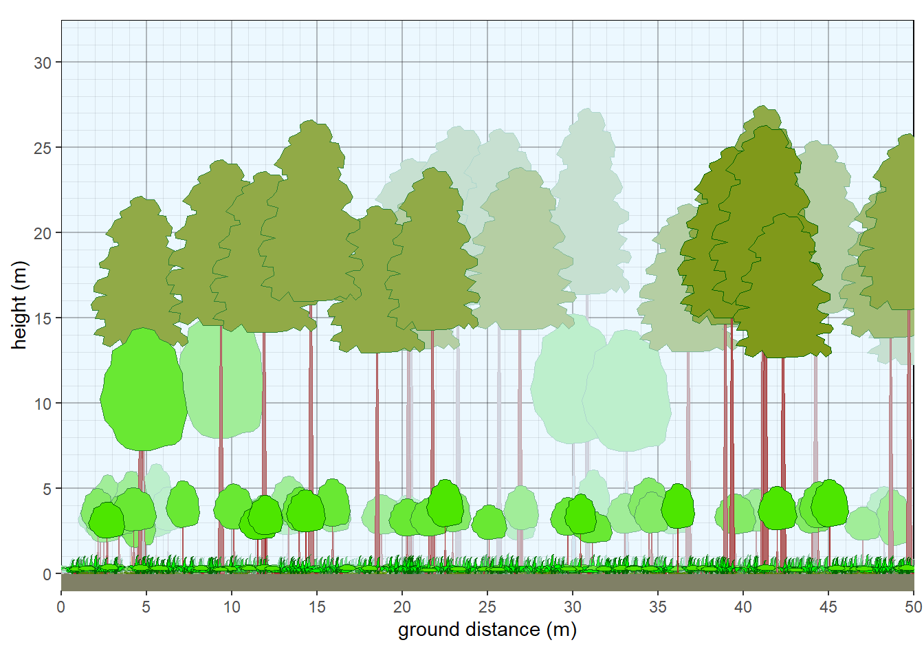 Structure of northern Michigan pine forest.