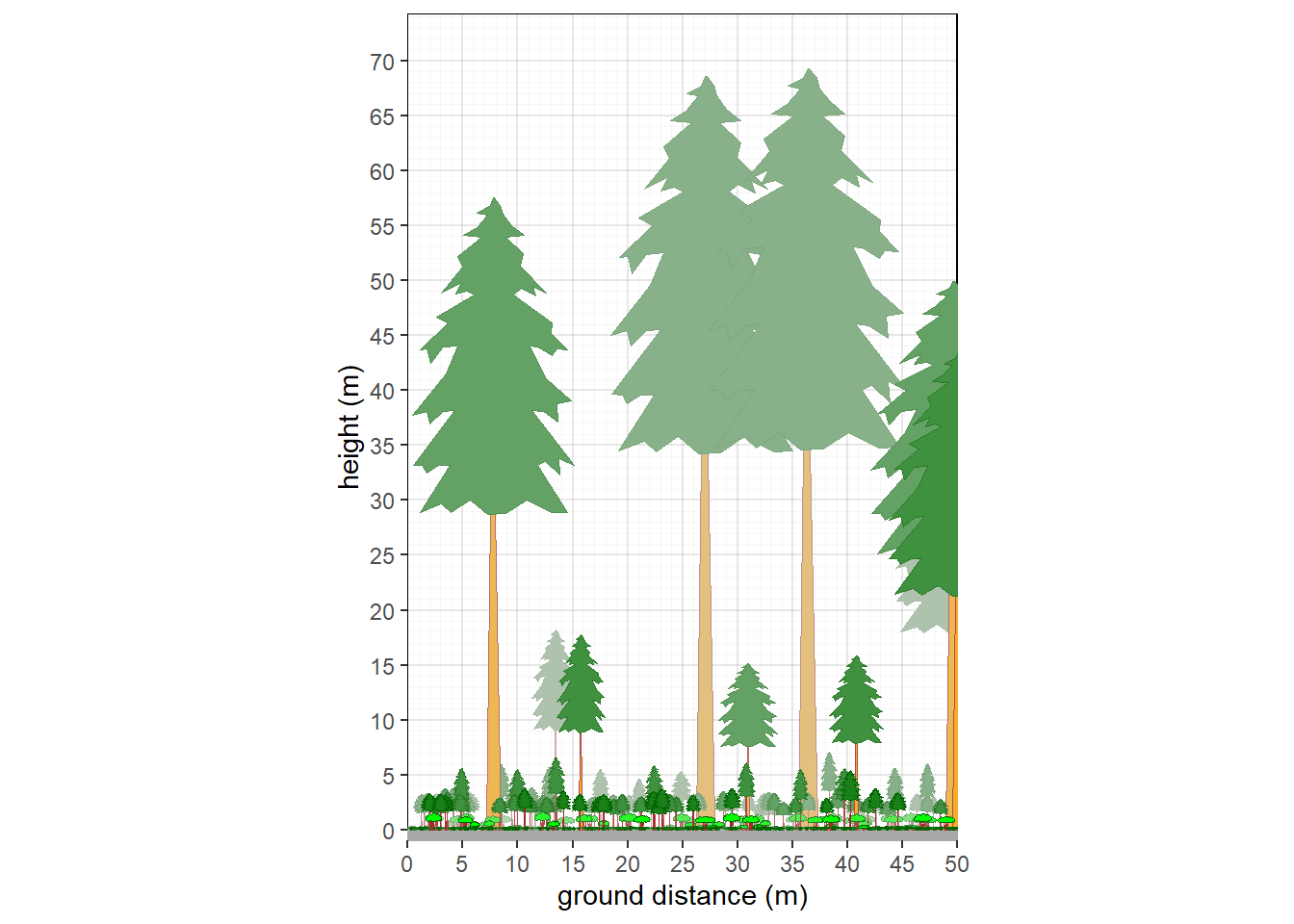 Structure of a Washington conifer forest.