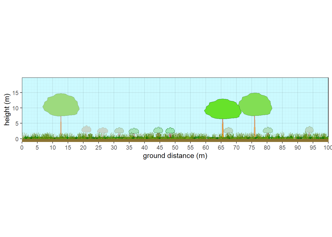 Structure of a generic oak savanna