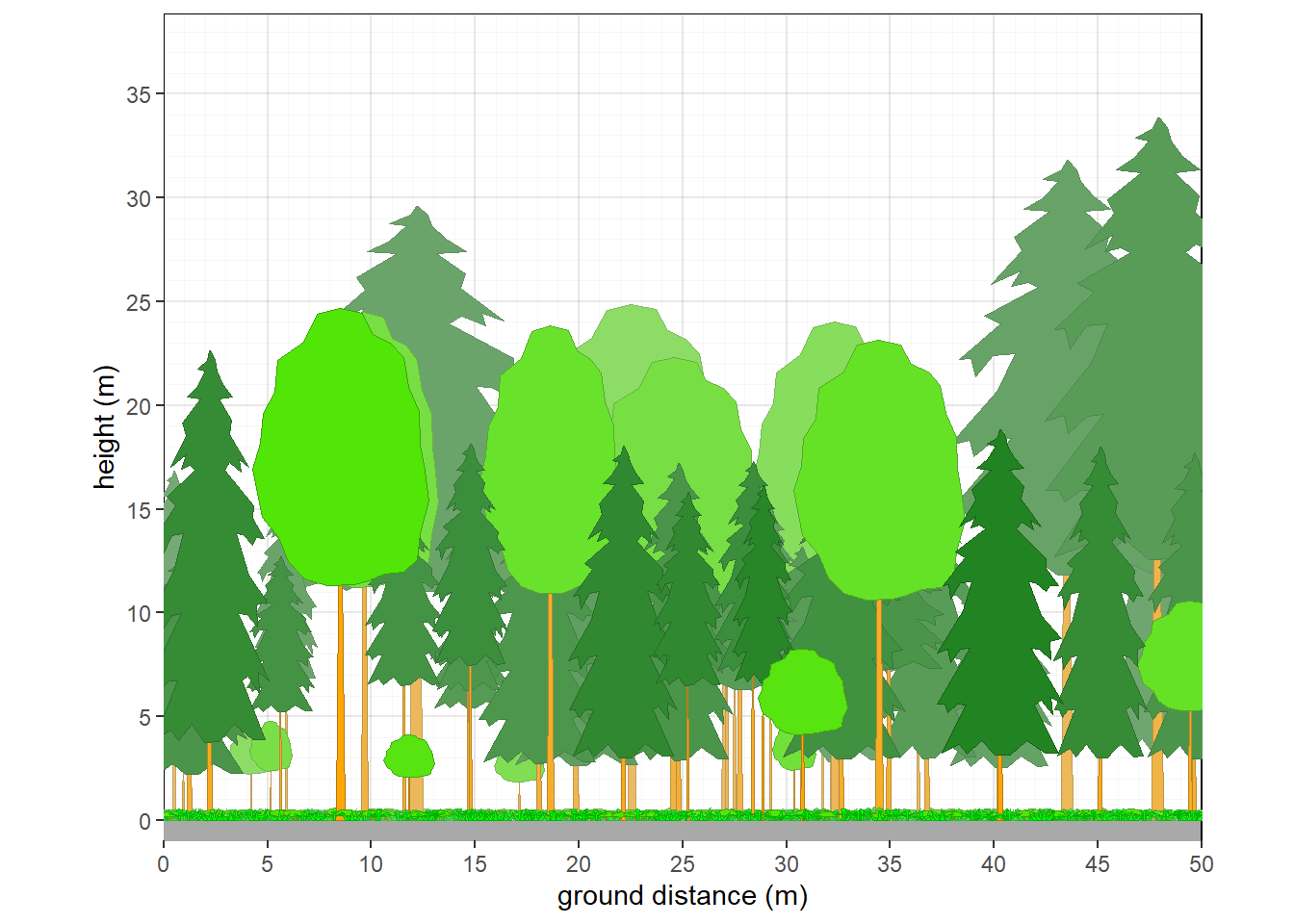 Structure of northern Michigan mixed forest.