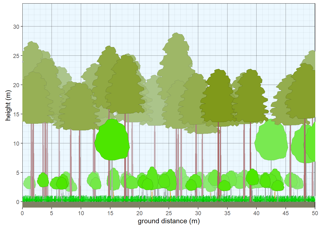 Structure of northern Michigan pine forest.