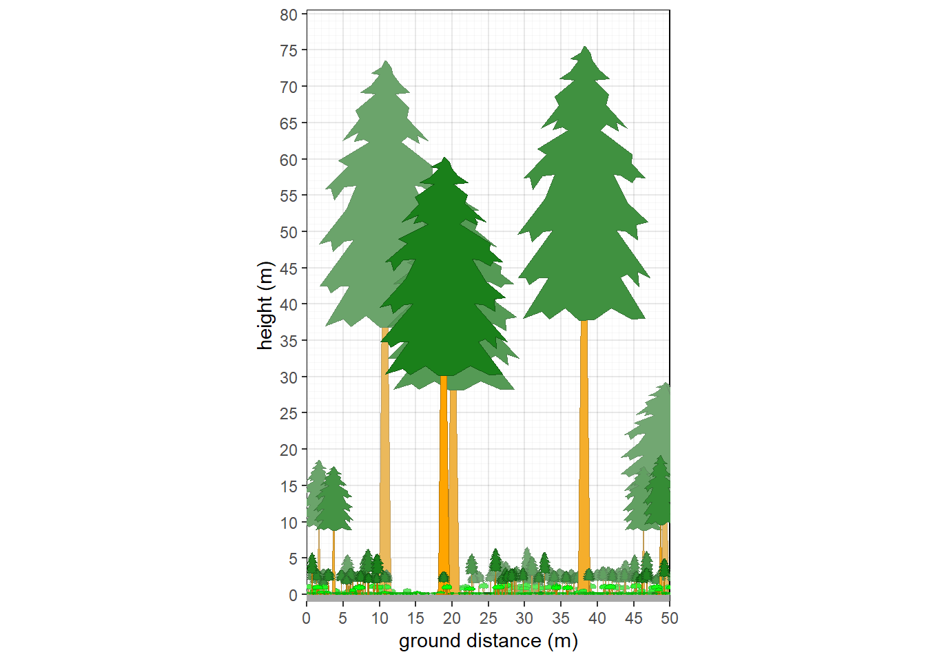 Structure of a Washington conifer forest.