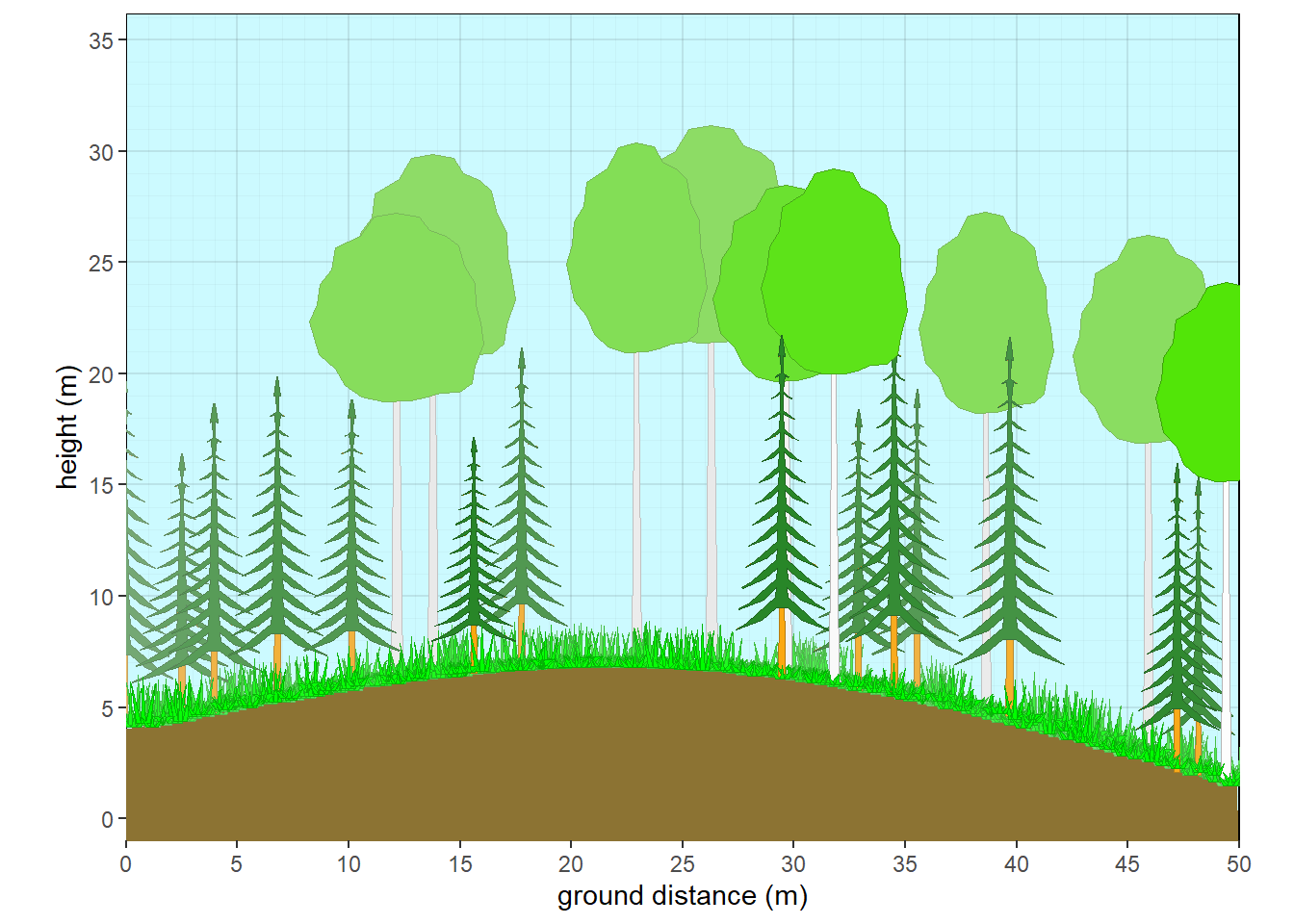 Aspen with fir subcanopy - summer