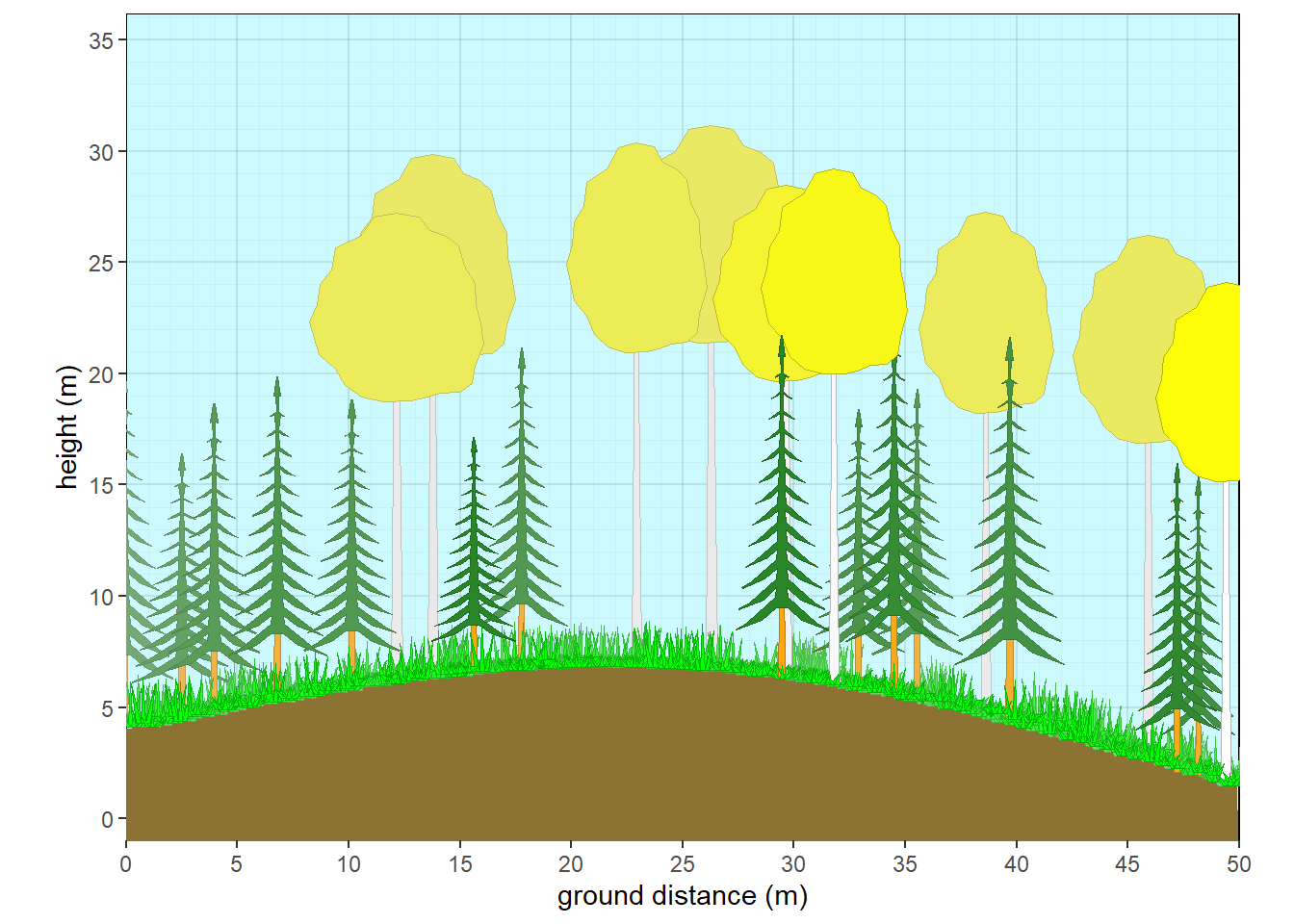 Aspen with fir subcanopy - fall