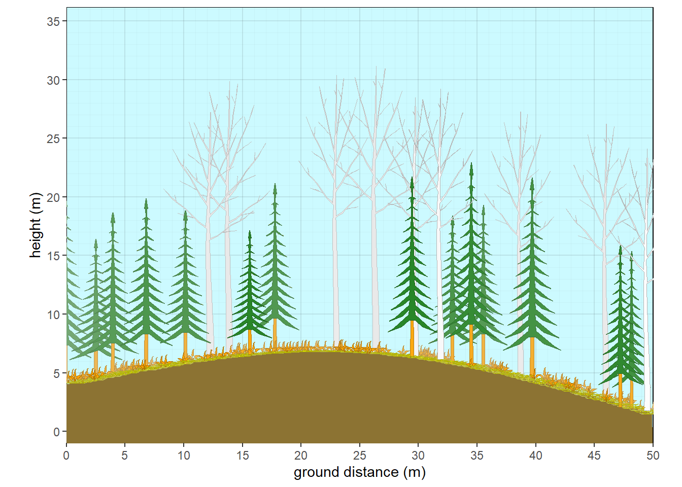 Aspen with fir subcanopy - winter